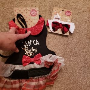 Cat dress bundle